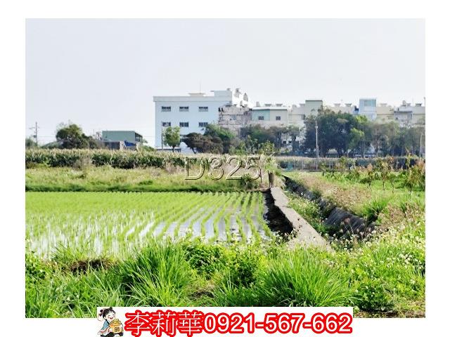 台南農地-9