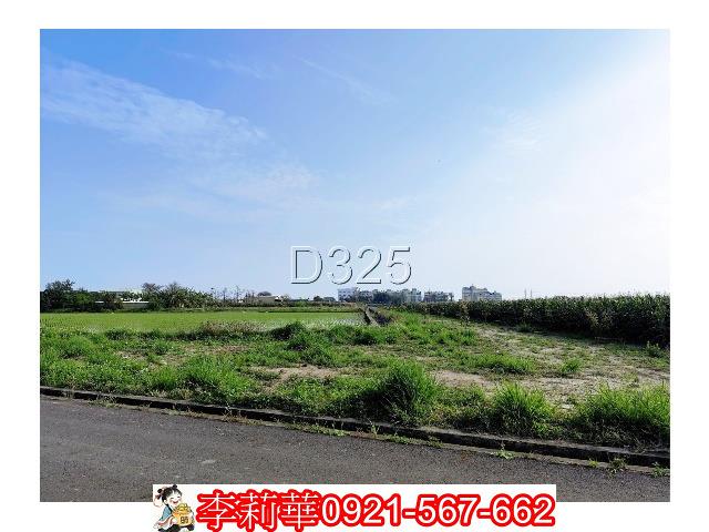 台南農地-5