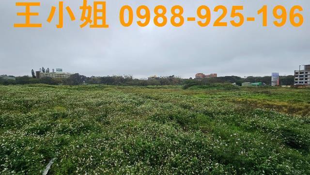 桃園綠線G12站徵收農地綠線捷運G12站徵收地買綠線捷運