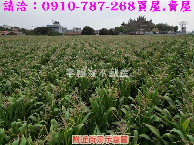 新營農地-11