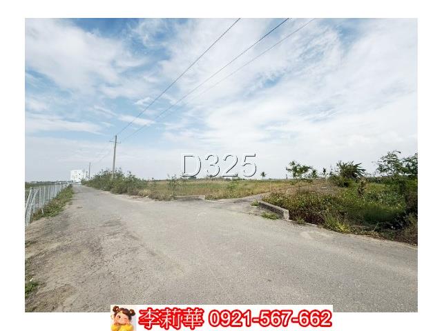 左鎮區山豹段竹林農地