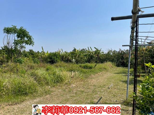 台南南區農地-2