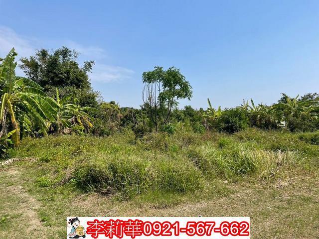 台南南區農地-4