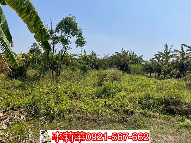 台南南區農地-5