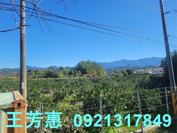 苗栗卓蘭牛樟農地土地投資開發出售