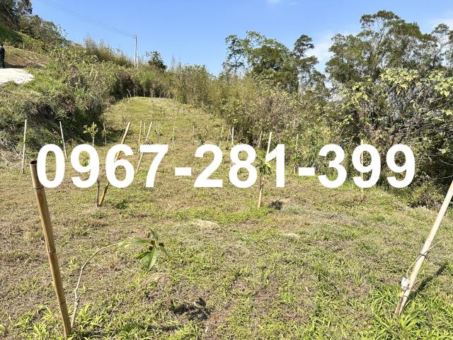 苗栗造橋農地-3