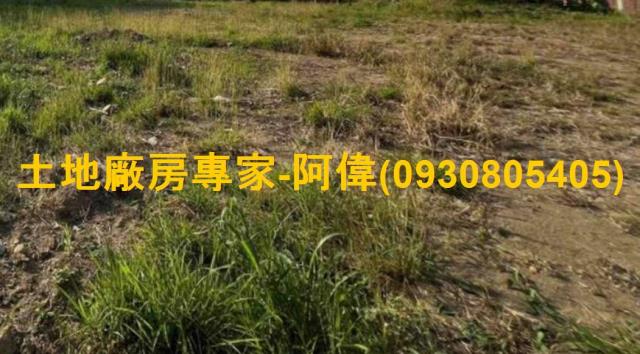 高雄大寮農地-0