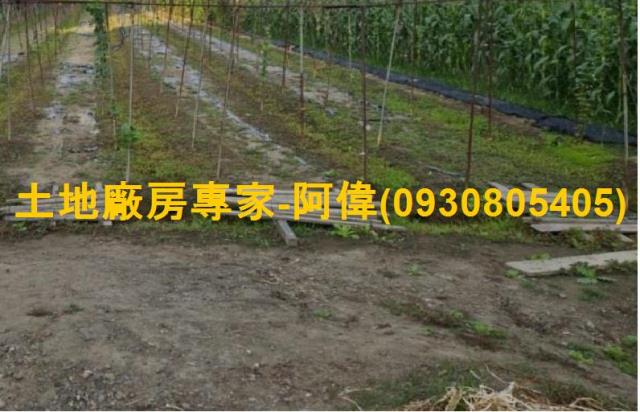 大寮農地-0