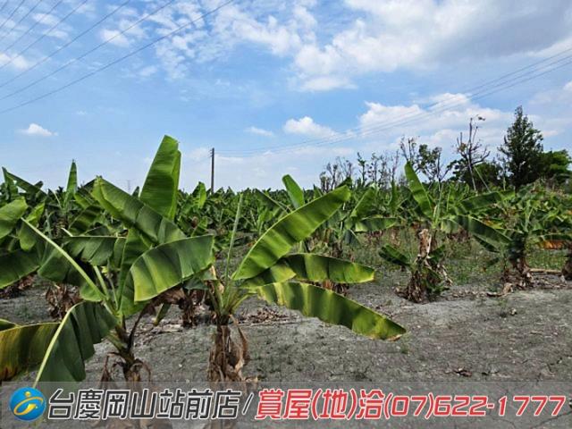 屏東潮州農地-10