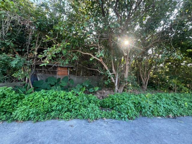 南投草屯農地-9