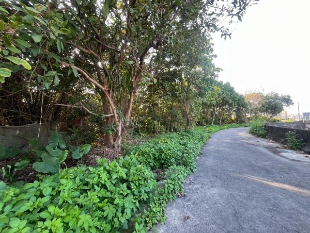 南投草屯農地-10