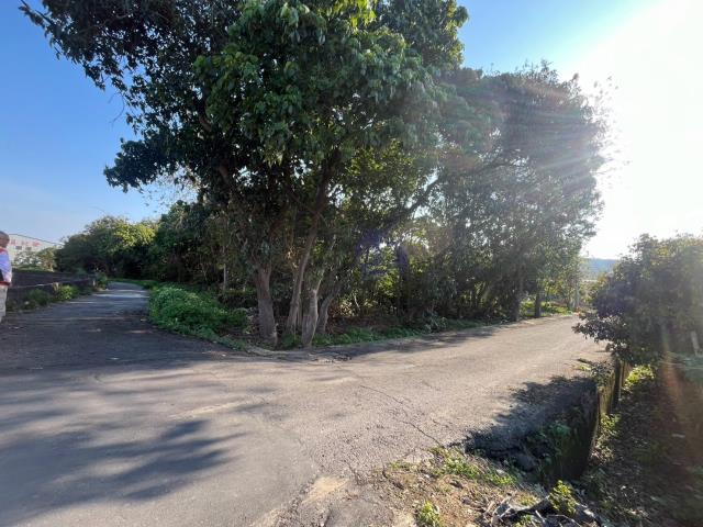 南投草屯農地-11