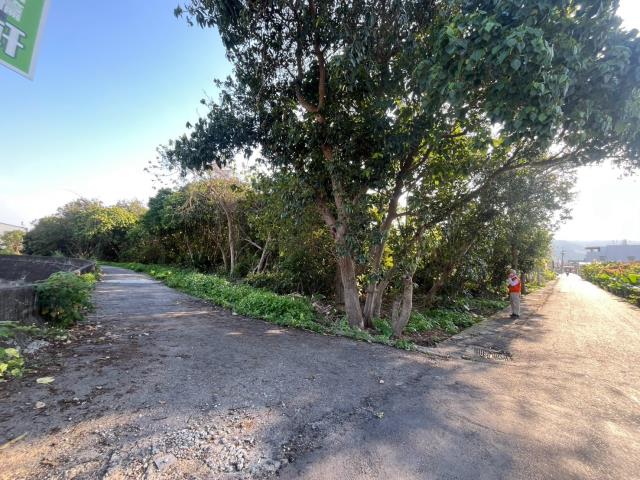 南投草屯農地-12