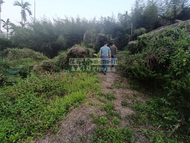 嘉義中埔農地-3