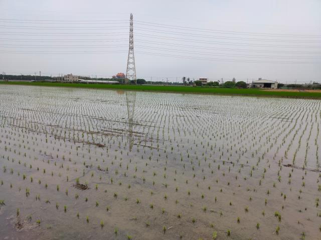 二林農地-6