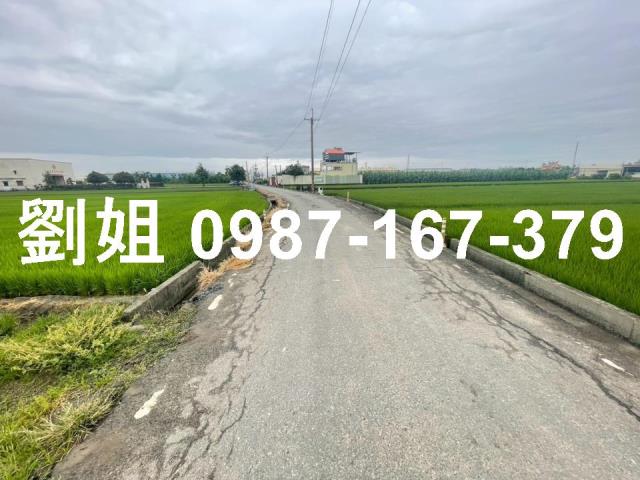 燕巢大面寬養身水庫旁青山綠水農地