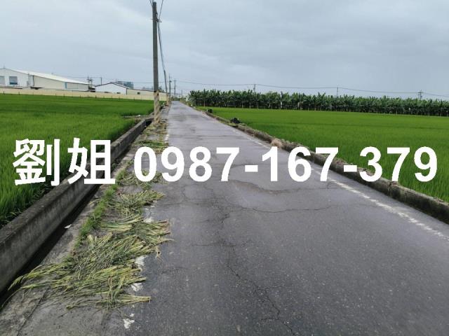 高雄大樹統嶺國三斜張橋里嶺大橋旗山佛光山農地土地投資節稅出售