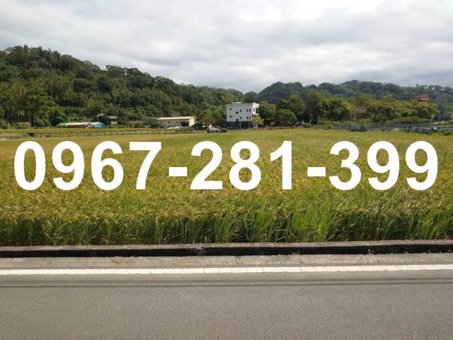 頭屋農地-0