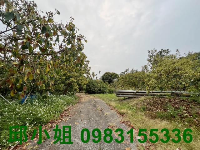 嘉義農地-9