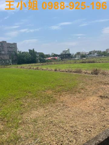 桃園中壢農地-4