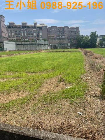 桃園中壢農地-5