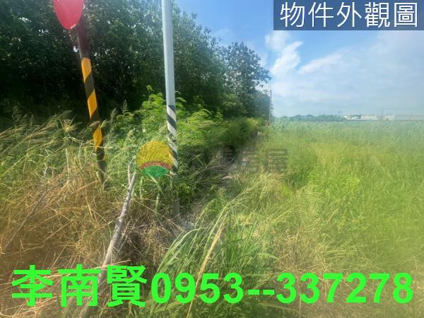 台南新市農地-1