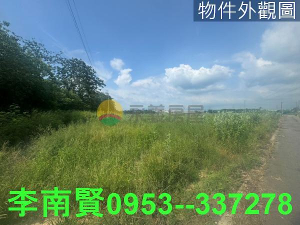 台南新市農地-3