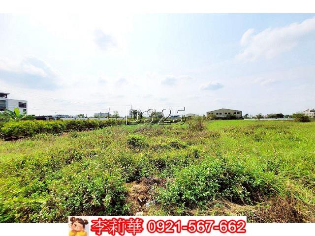 台南新市農地-5