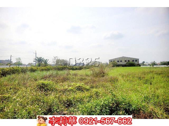 台南新市農地-7