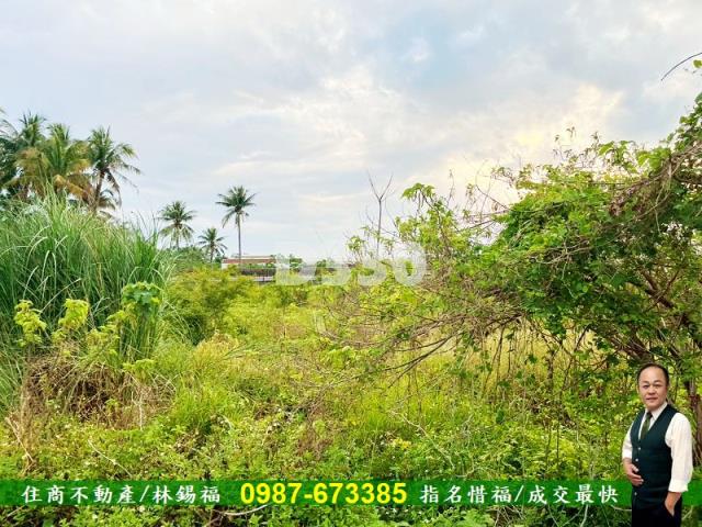 台南安定農地-9