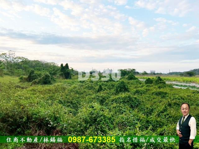 台南安定農地-10