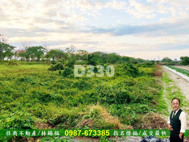 台南安定農地-11