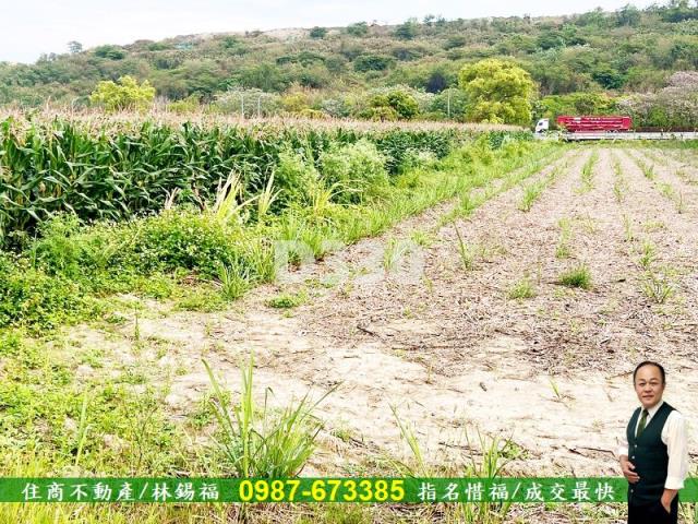 台南安定農地-2