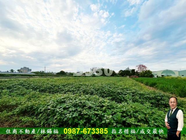 台南安定農地-3