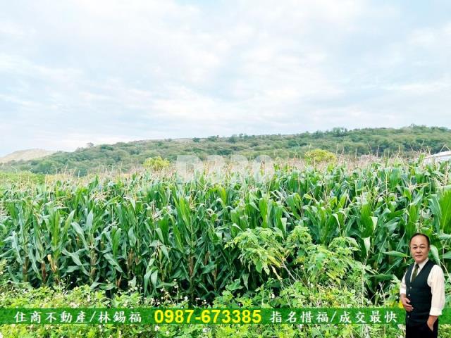 台南安定農地-4