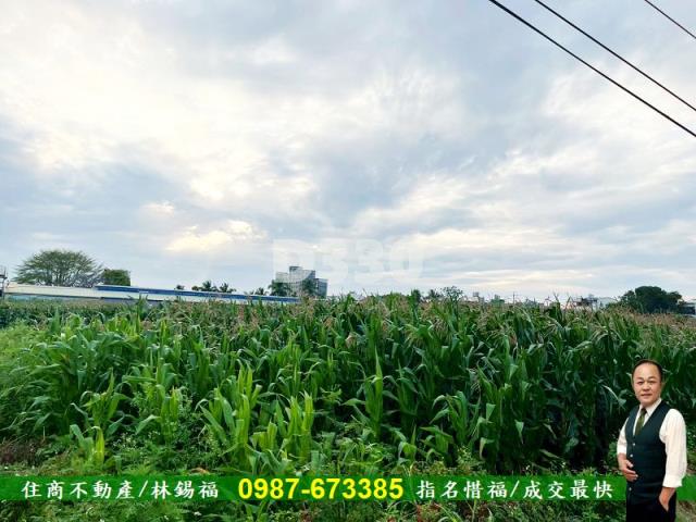 台南安定農地-5