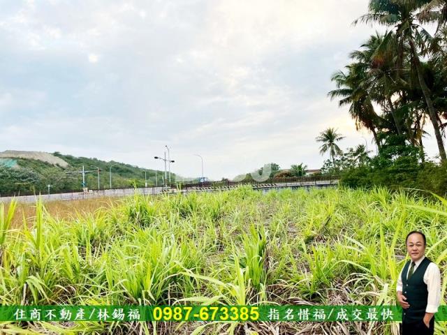 台南安定農地-6