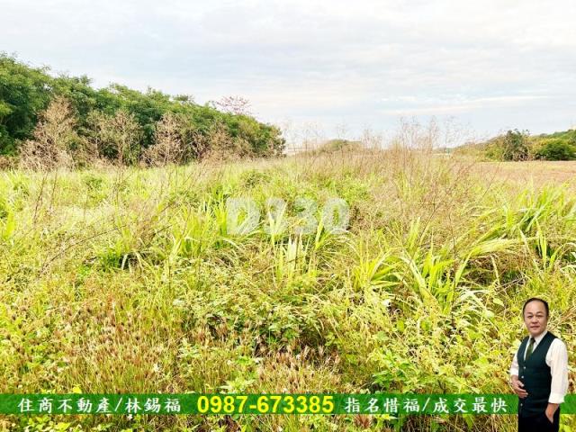 台南安定農地-7