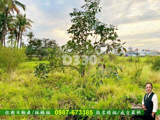 台南安定農地-8