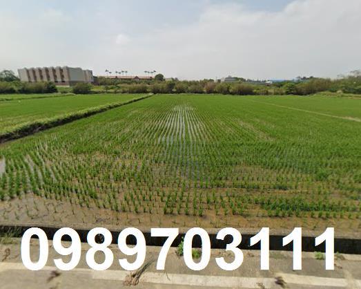 桃園新屋農地-1