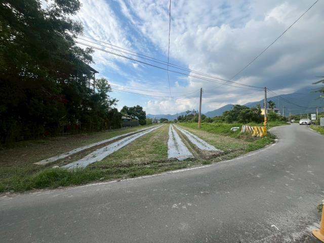 埔里農地-10