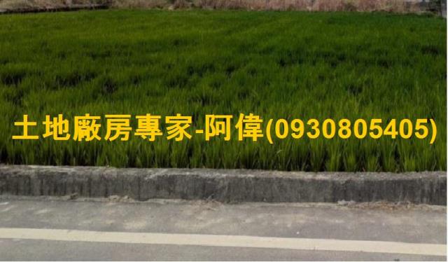 高雄大寮農地-0