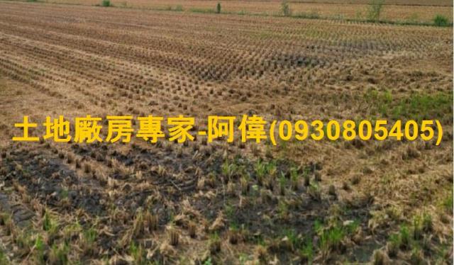 高雄大寮農地-0