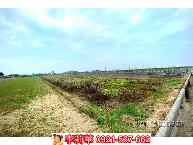 台南後壁農地-2