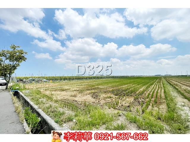 台南後壁農地-4