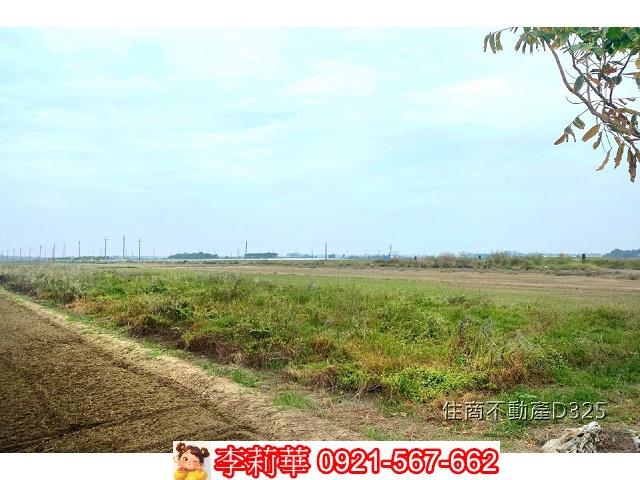 台南後壁農地-7