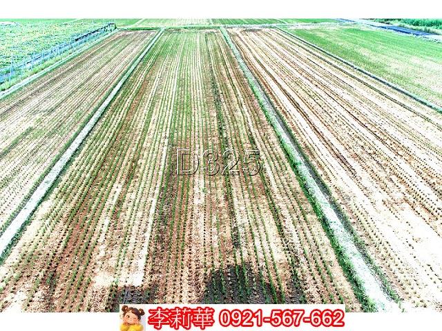 台南後壁農地-8