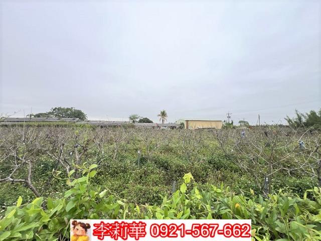 台南農地-8