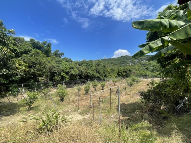 高雄燕巢農地-7