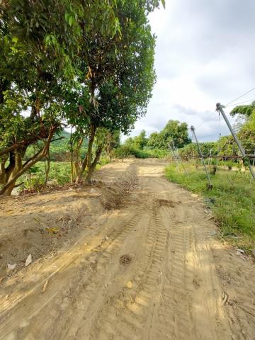 高雄燕巢農地-1